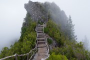 世界杯赛后球员素质提升公益项目启动仪式，世界杯参赛球员要求