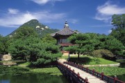 世界短道速滑设备国产替代项目获政策扶持，世界短道速滑强国