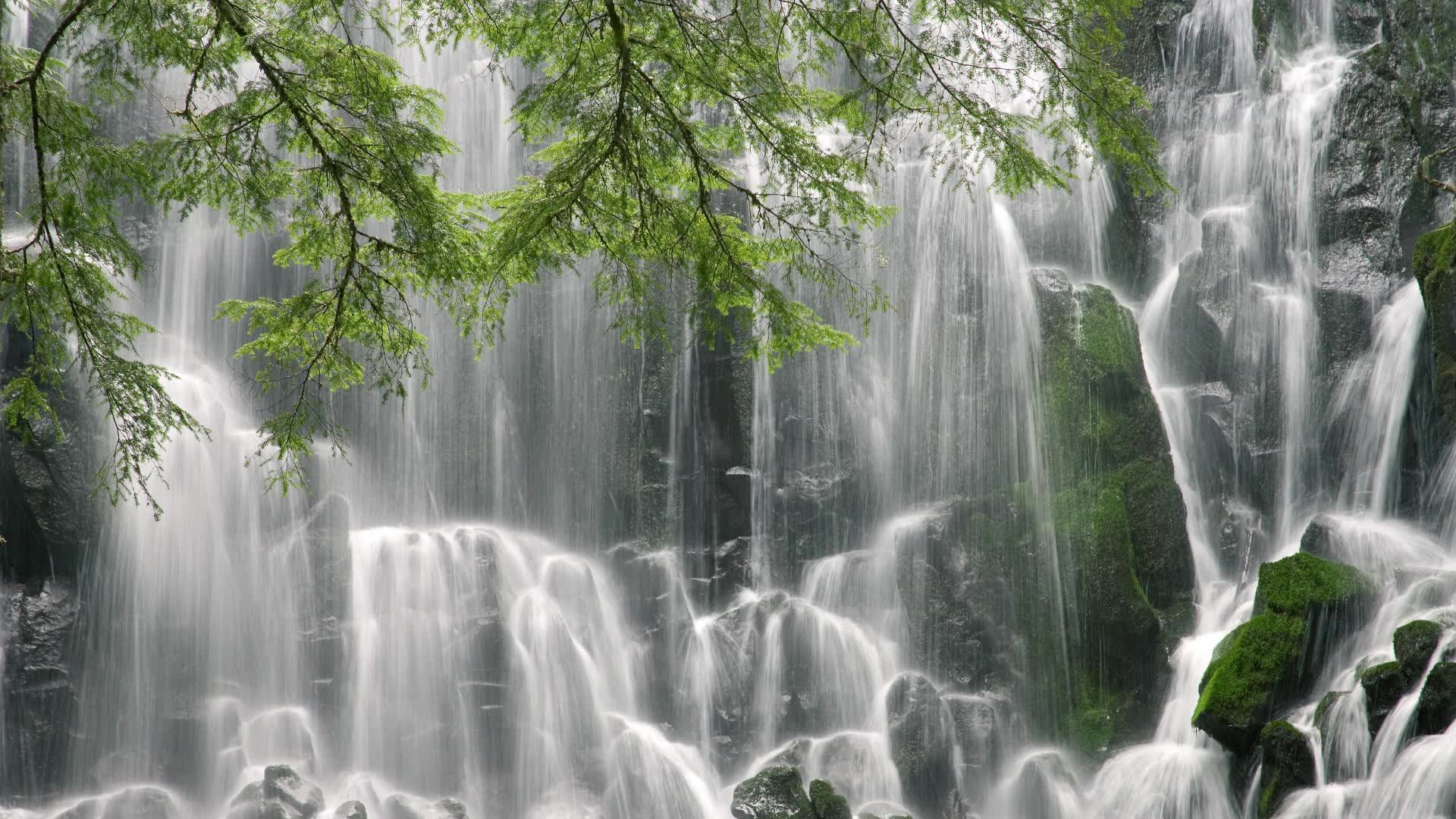 世界杯赛后球员素质提升公益项目启动仪式,世界杯参赛球员要求